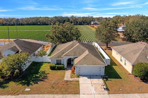 Photo of 3609 Trapnell Grove Loop, Plant City, FL 33567 (MLS # TB8436138)