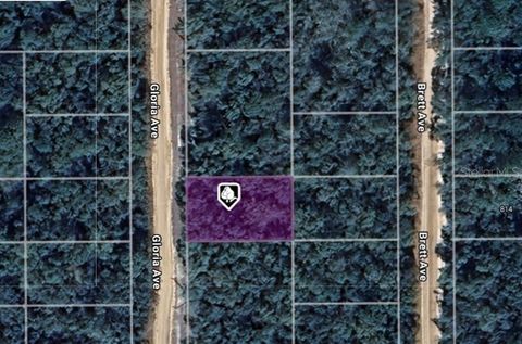 LOT 8 GLORIA AVENUE INTERLACHEN FL 32148