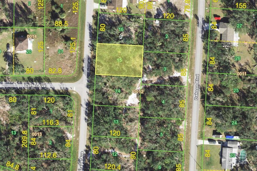 VACANT LOT IN PEACE RIVER SHORES - Idyllic country setting in a growing community with an active (optional) homeowners' association. Build your dream home here & enjoy the peaceful, serene setting yet still near most area amenities including shopping, restaurants, historic downtown Punta Gorda plus I-75 & US-41. Or keep as an investment. You choose. Peace River & Palm Shores Social Club is voluntary and offers members use of the community boat ramp, clubhouse, park & picnic area. There is a one-time OPTIONAL membership fee of $250.00, then $50.00 annually.