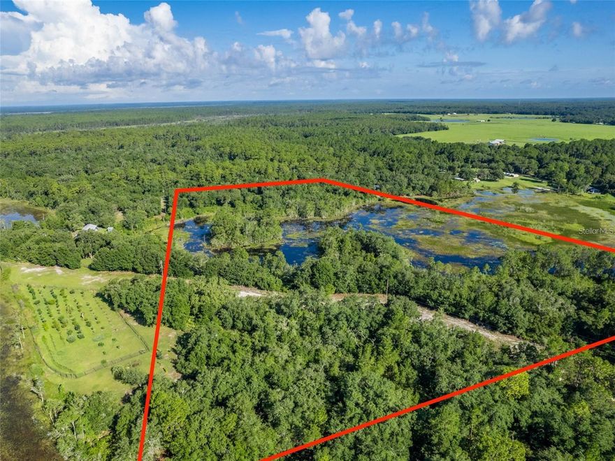 Welcome home to your private Land full of possibilities! Your own paradise if you will! This parcel is zoned A1 and will be sold with adjacent parcel 39549-005-03 with a total of 22.84 Acres! This is a must see for yourself kinda property! The land features high and dry buildable areas and wetland for fishing and your very own personal ISLAND that is a little over an acre by itself! Are you tired of the hustle and bustle of the city life? Are you ready to homestead your land and have that farm you've always wanted? Well here is your chance! Bring your horses, cows, chickens and if you want to bring your llama also! This one of a kind property is off of a paved road and has beautiful oak trees throughout! Just right around the corner you can put your boat in at the Moss Bluff South Recreation Center and boat or paddle down the Ocklawaha River! Living in a new peace and harmony comes to mind with this land that could be all yours! This property is naturally inhibited with wildlife like deer, turkey and fish that spawn from pond to lakes throughout the wetlands. You don't want to miss this opportunity to create your very own oasis!! Owner will finance so you don't have to miss out, Give me a call today for Owner financing details!