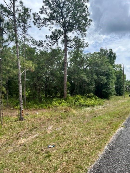 Welcome home to your private Land full of possibilities! Your own paradise if you will! This parcel is zoned A1 and will be sold with adjacent parcel 39549-005-03 with a total of 22.84 Acres! This is a must see for yourself kinda property! The land features high and dry buildable areas and wetland for fishing and your very own personal ISLAND that is a little over an acre by itself! Are you tired of the hustle and bustle of the city life? Are you ready to homestead your land and have that farm you've always wanted? Well here is your chance! Bring your horses, cows, chickens and if you want to bring your llama also! This one of a kind property is off of a paved road and has beautiful oak trees throughout! Just right around the corner you can put your boat in at the Moss Bluff South Recreation Center and boat or paddle down the Ocklawaha River! Living in a new peace and harmony comes to mind with this land that could be all yours! This property is naturally inhibited with wildlife like deer, turkey and fish that spawn from pond to lakes throughout the wetlands. You don't want to miss this opportunity to create your very own oasis!! Owner will finance so you don't have to miss out, Give me a call today for Owner financing details!