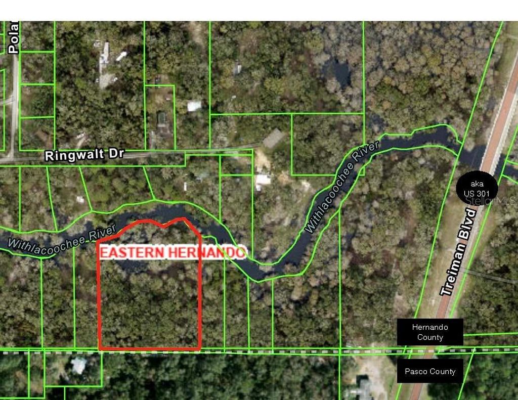 Photo of O Treiman Boulevard, Dade City, FL 33523 (MLS # W7881946)