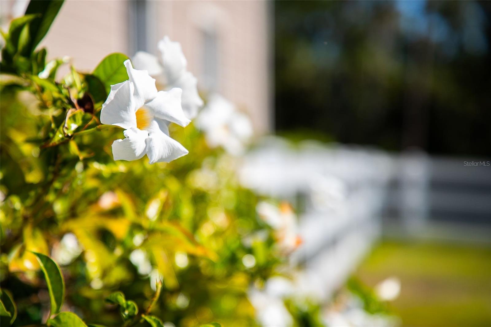 POMELLO PARK - Residential