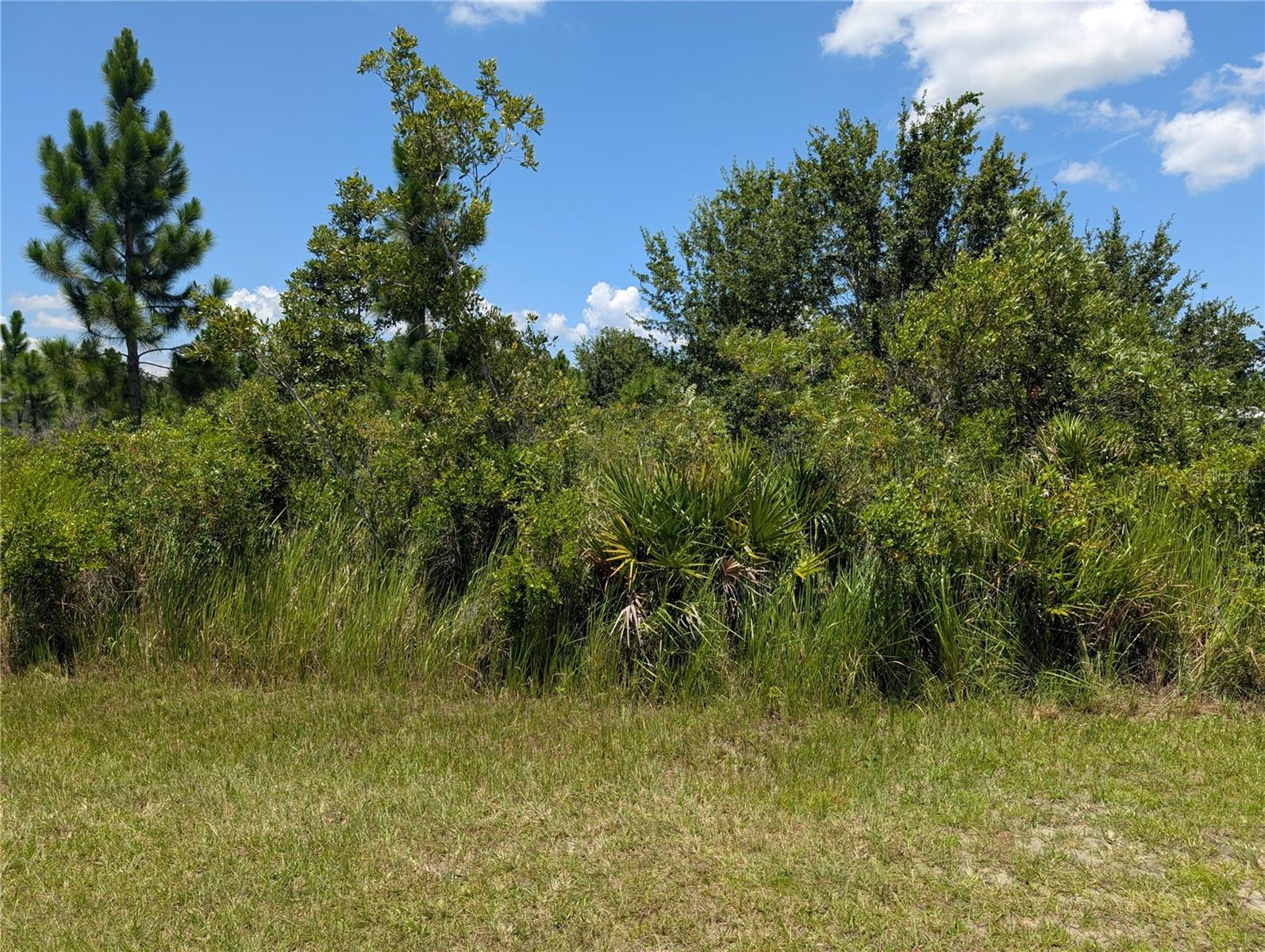 208 POINCIANA DRIVE