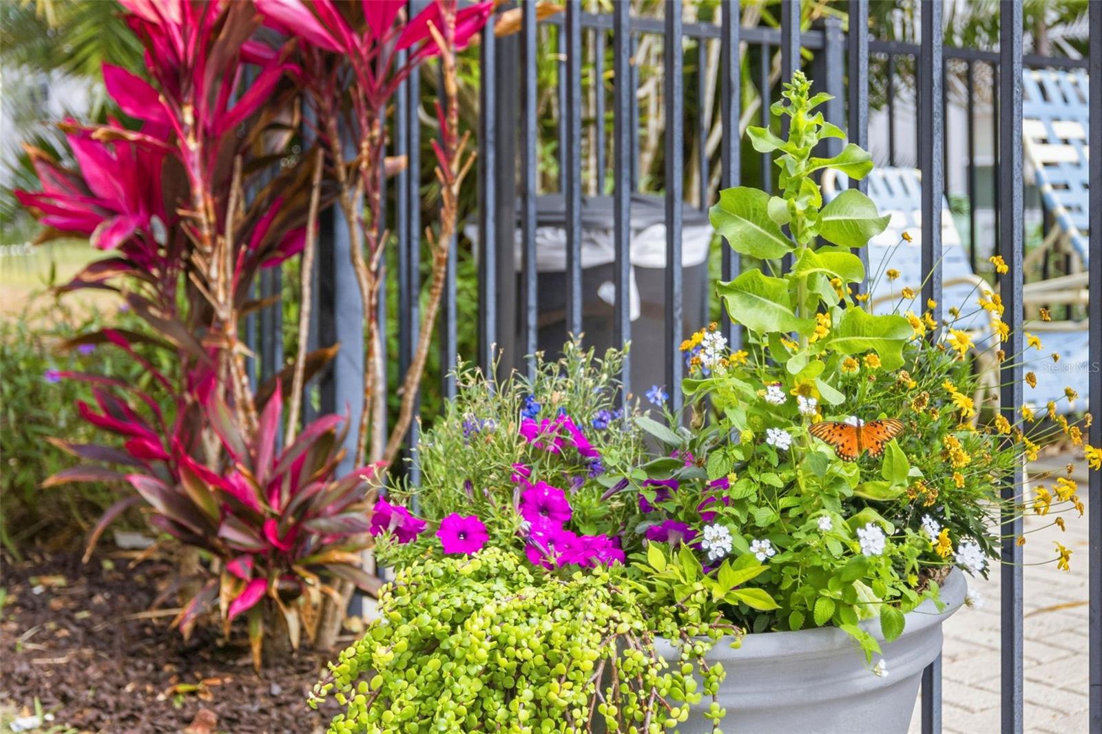 FIVE TOWNS OF ST PETE - Residential