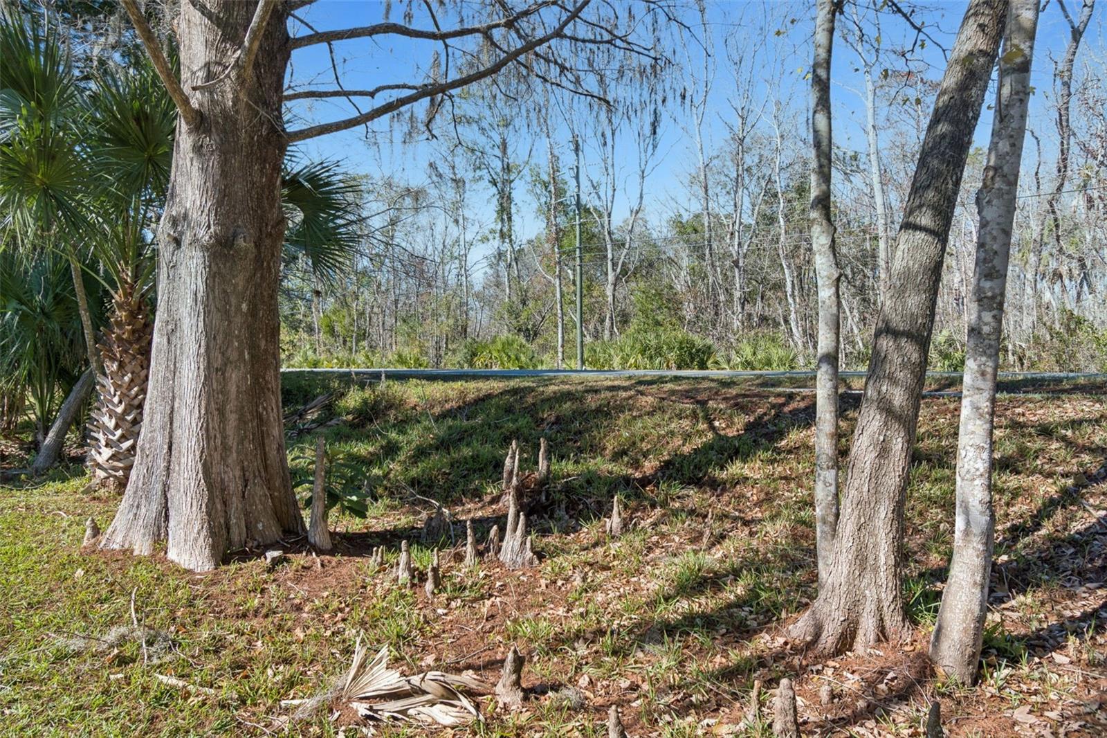 WEEKI WACHEE GARDENS UN 1 - Residential