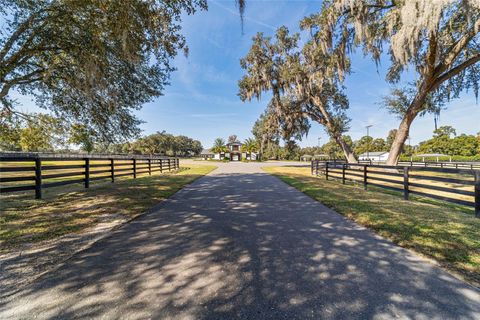 Tiny photo for 7950 NW 80th Avenue, Ocala, FL 34482 (MLS # OM717850)