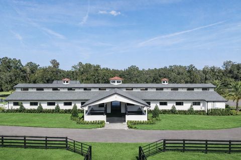 Tiny photo for 7950 NW 80th Avenue, Ocala, FL 34482 (MLS # OM717850)