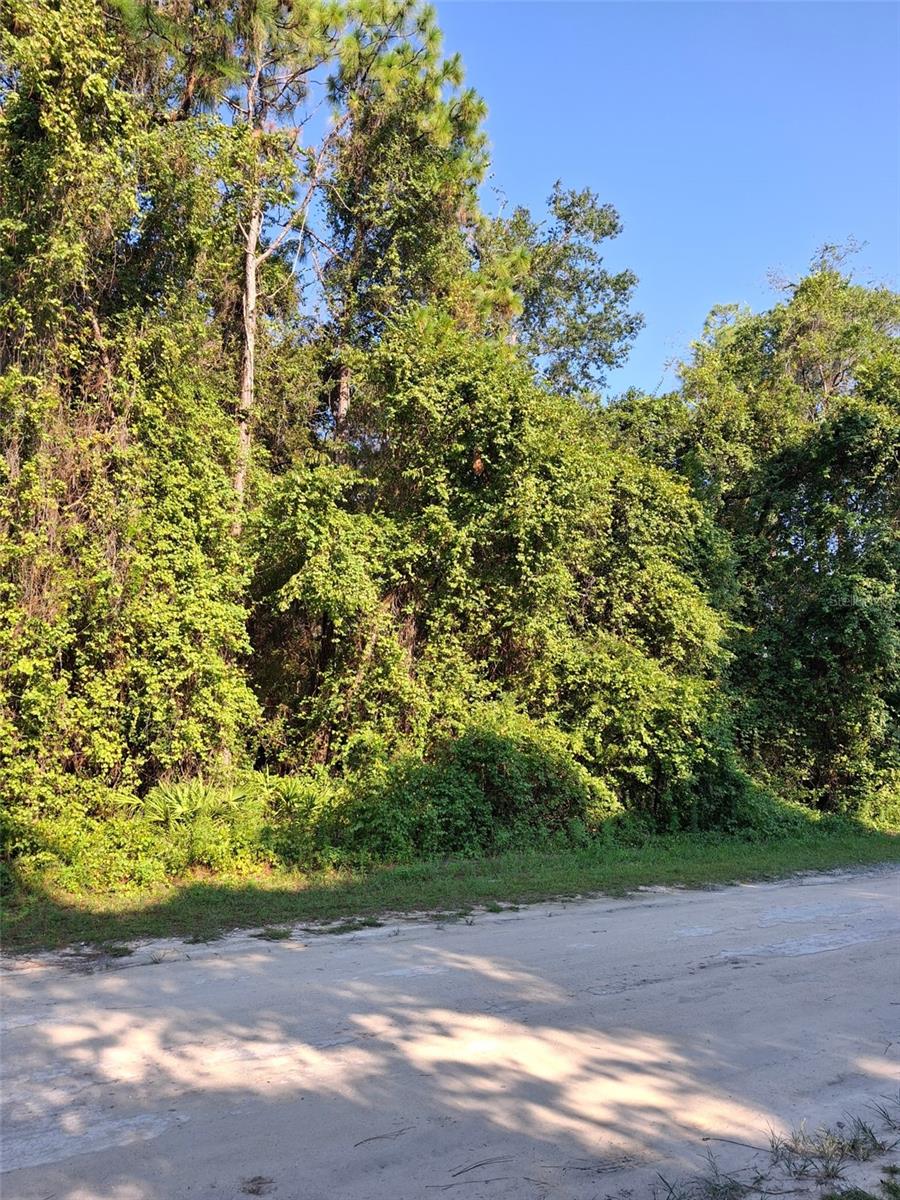 ROYAL HIGHLANDS - Land