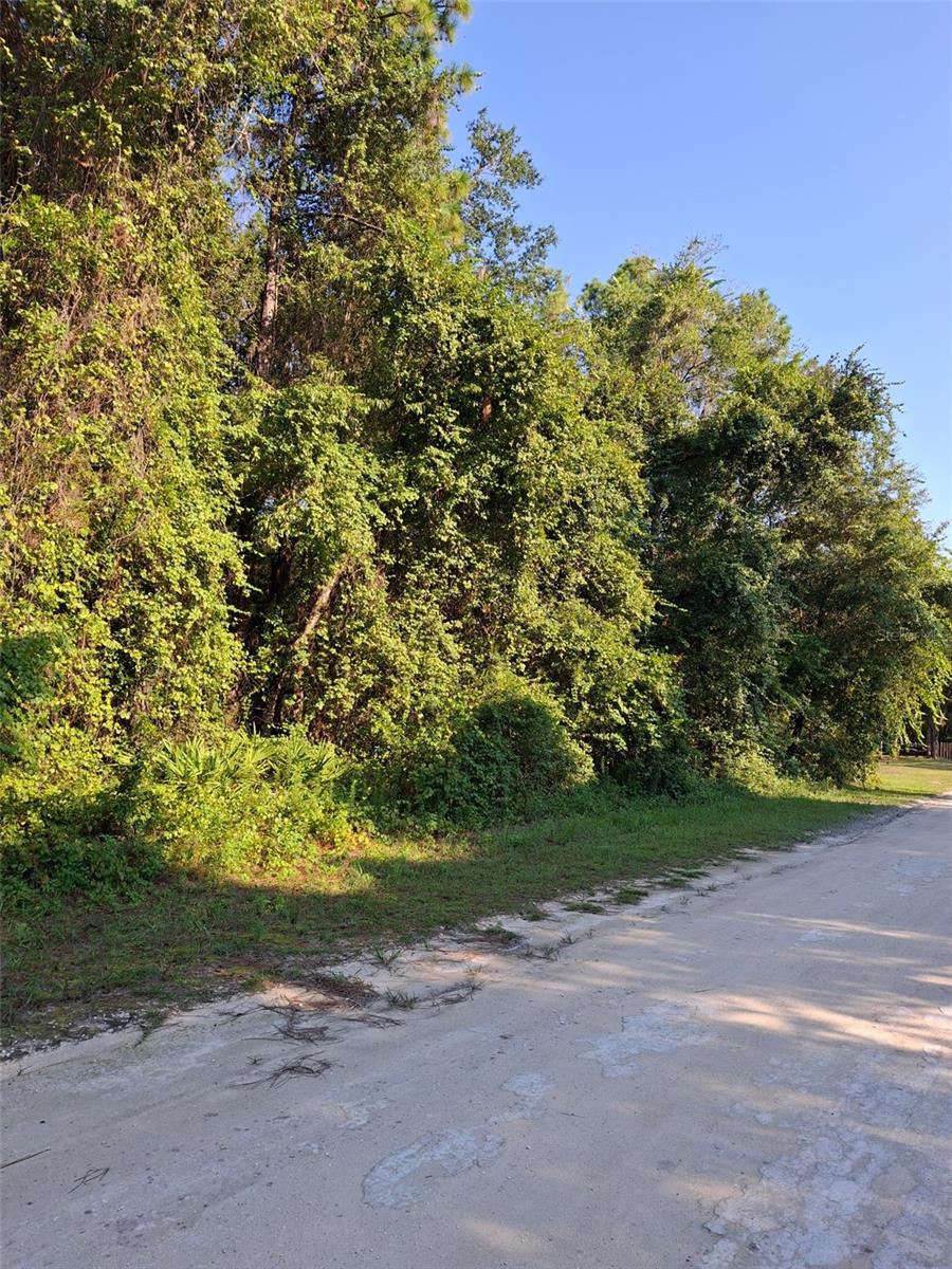 ROYAL HIGHLANDS - Land