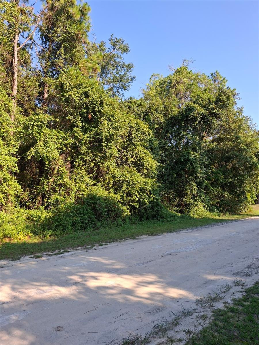 ROYAL HIGHLANDS - Land