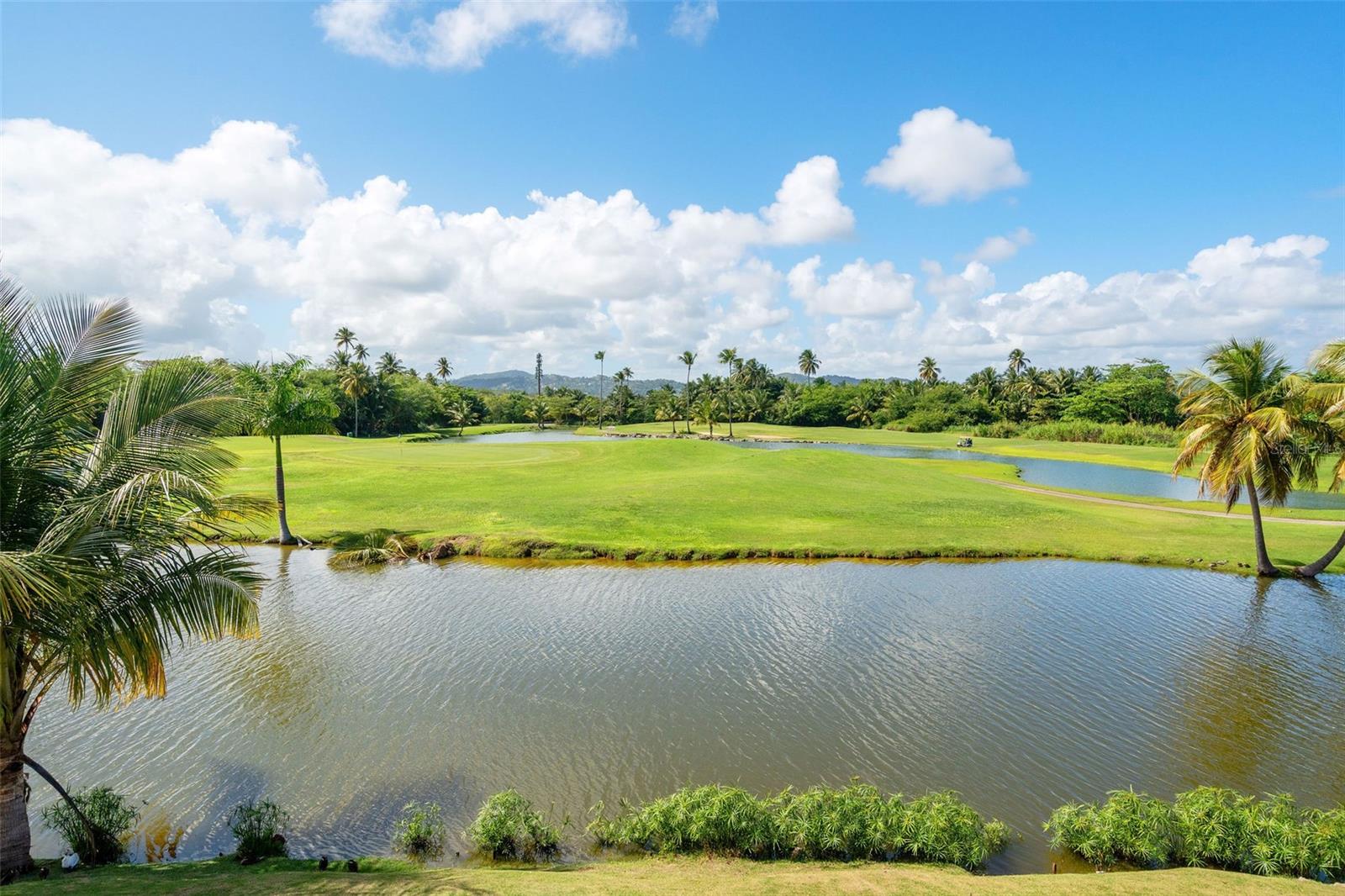 FAIRLAKES VILLAGE - Residential