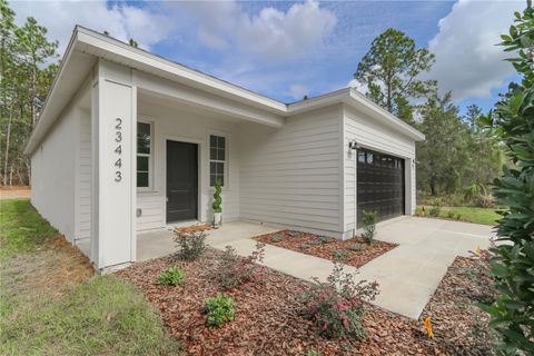 A home in DUNNELLON