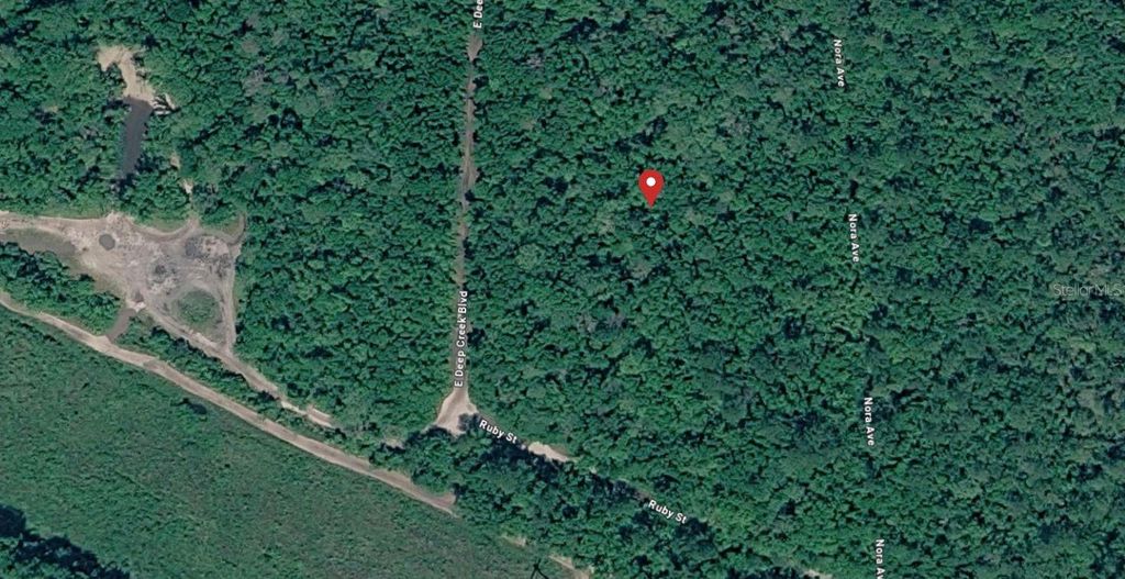 Photo of E Deep Creek, Hastings, FL 32145 (MLS # D6147857)