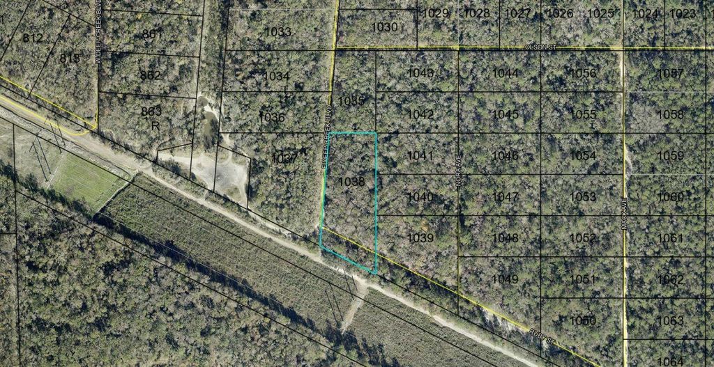Photo of E Deep Creek, Hastings, FL 32145 (MLS # D6147857)