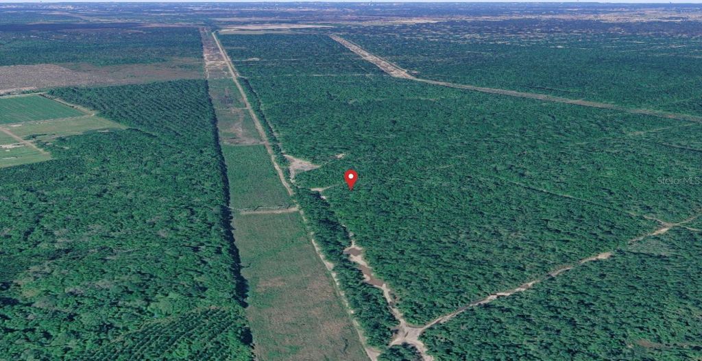 Photo of E Deep Creek, Hastings, FL 32145 (MLS # D6147857)