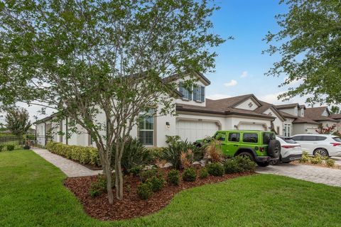 4583 BARLETTA COURT WESLEY CHAPEL FL 33543