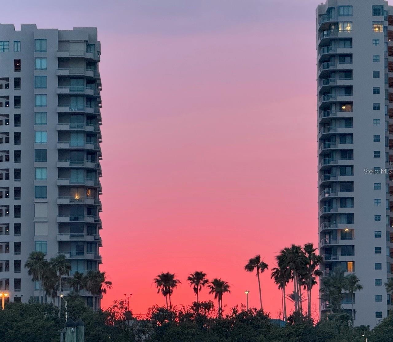 MARINA DEL REY AT SAND KEY - Residential Lease