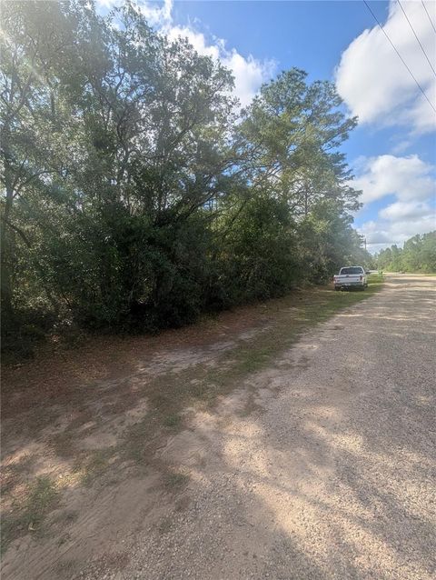Tiny photo for 8791 N Folland Drive, Dunnellon, FL 34433 (MLS # OM725206)