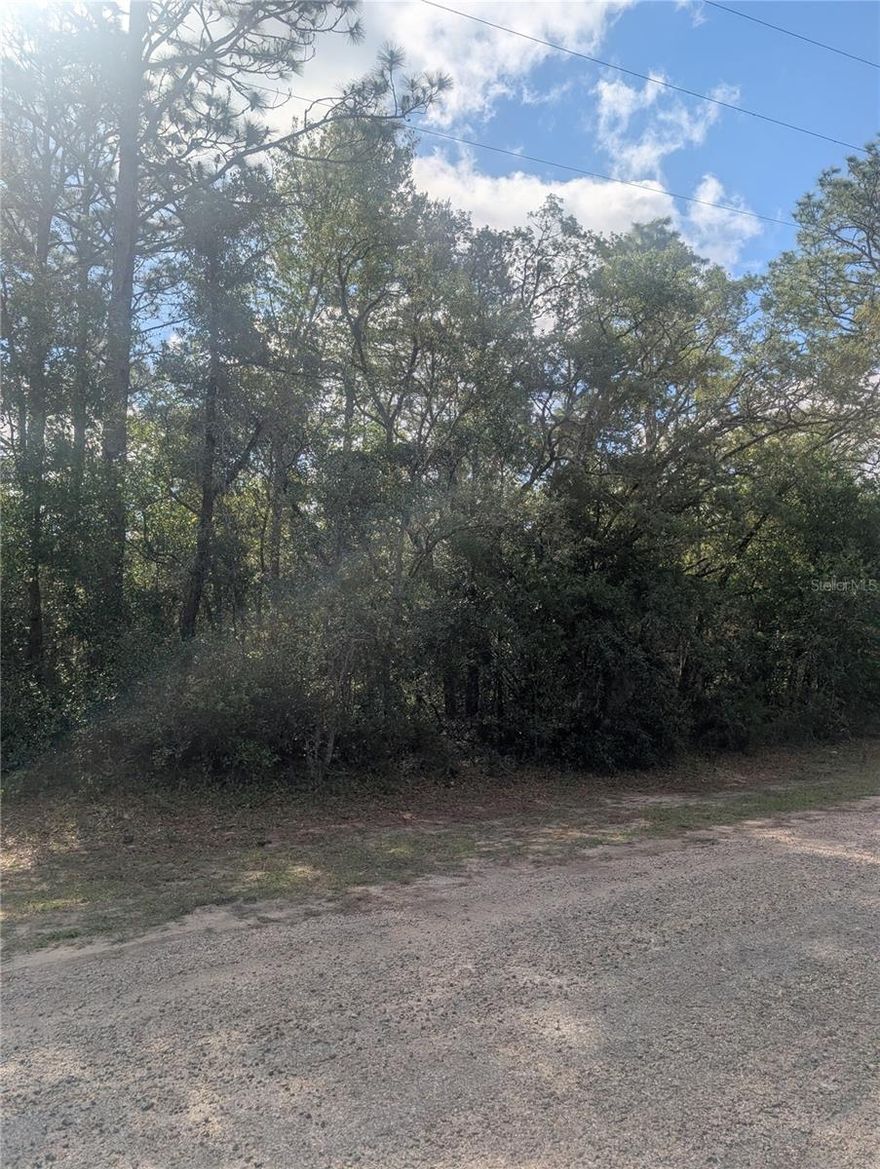 Build your dream home on this beautiful Citrus Springs homesite! Located in an established neighborhood with nearby homes, this .23-acre parcel offers approximately 80x125 dimensions and is zoned for residential use. The property features gentle topography and favorable build conditions, making it ideal for a future primary residence, seasonal home, or investment opportunity. Conveniently located near shopping, dining, golf courses, parks, and the many rivers and outdoor attractions Florida’s Nature Coast is known for. With no HOA fees and no required time frame to build, this is your opportunity to secure your own piece of Citrus Springs today!
