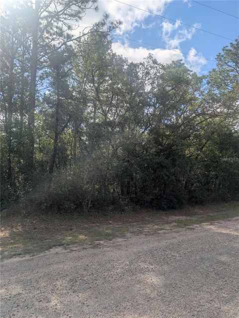 Photo of 8791 N Folland Drive, Dunnellon, FL 34433 (MLS # OM725206)