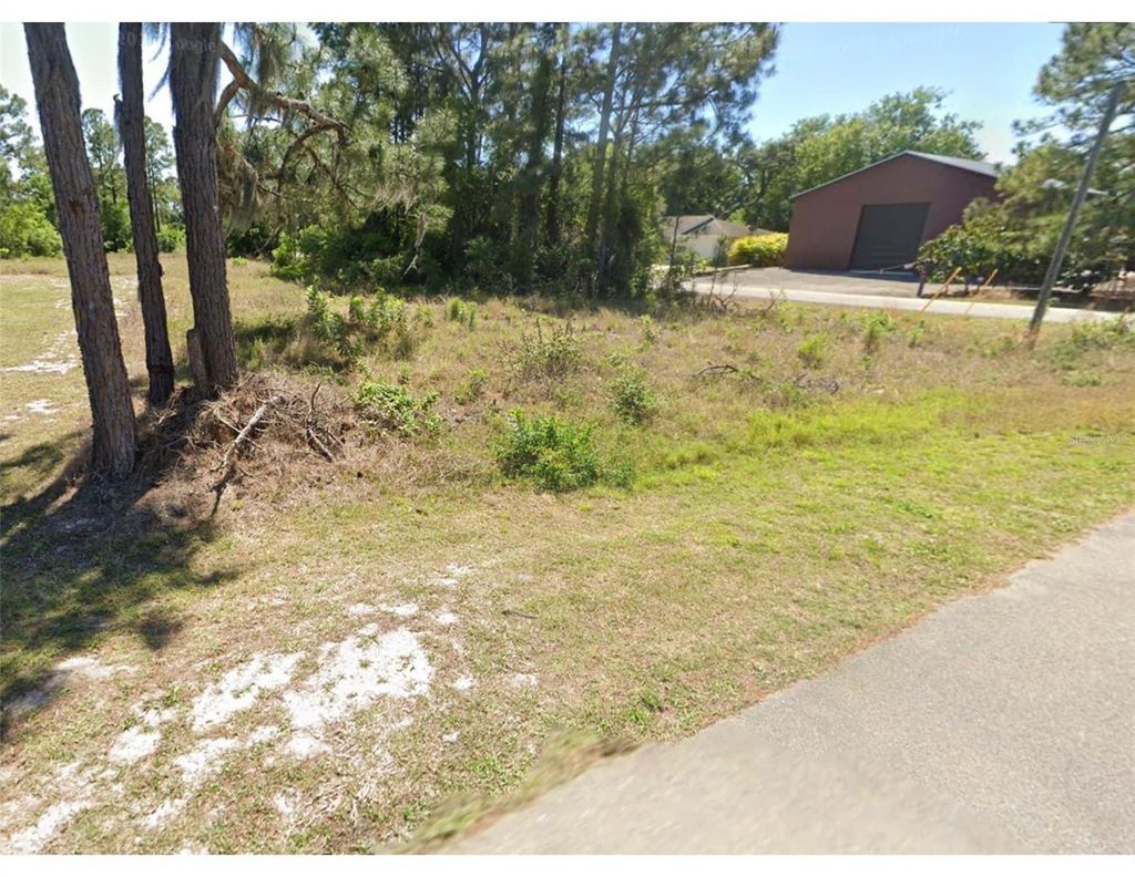 Photo of 217 Gloria Boulevard, Lake Placid, FL 33852 (MLS # TB8506557)