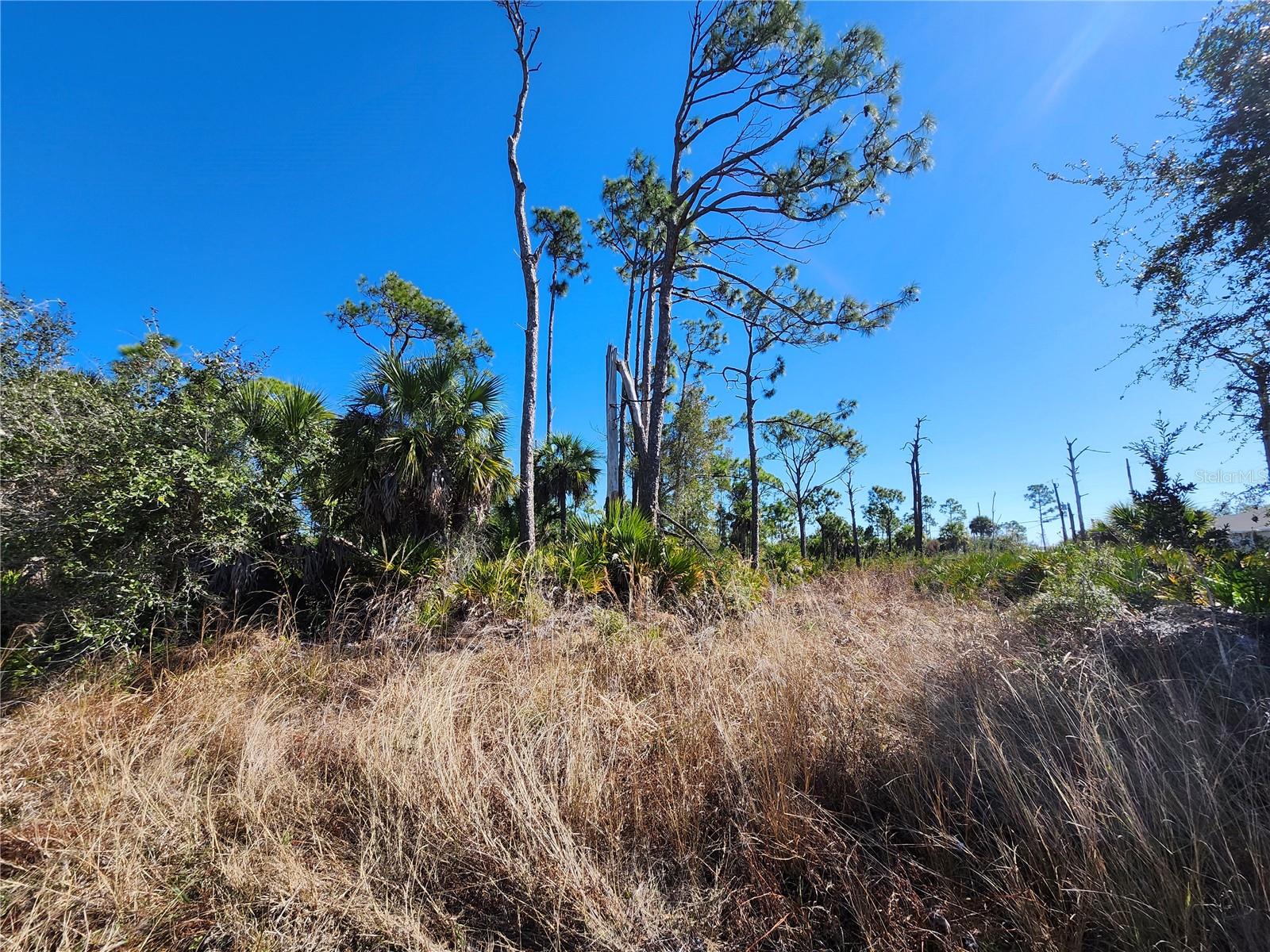 5464 JENNINGS BOULEVARD