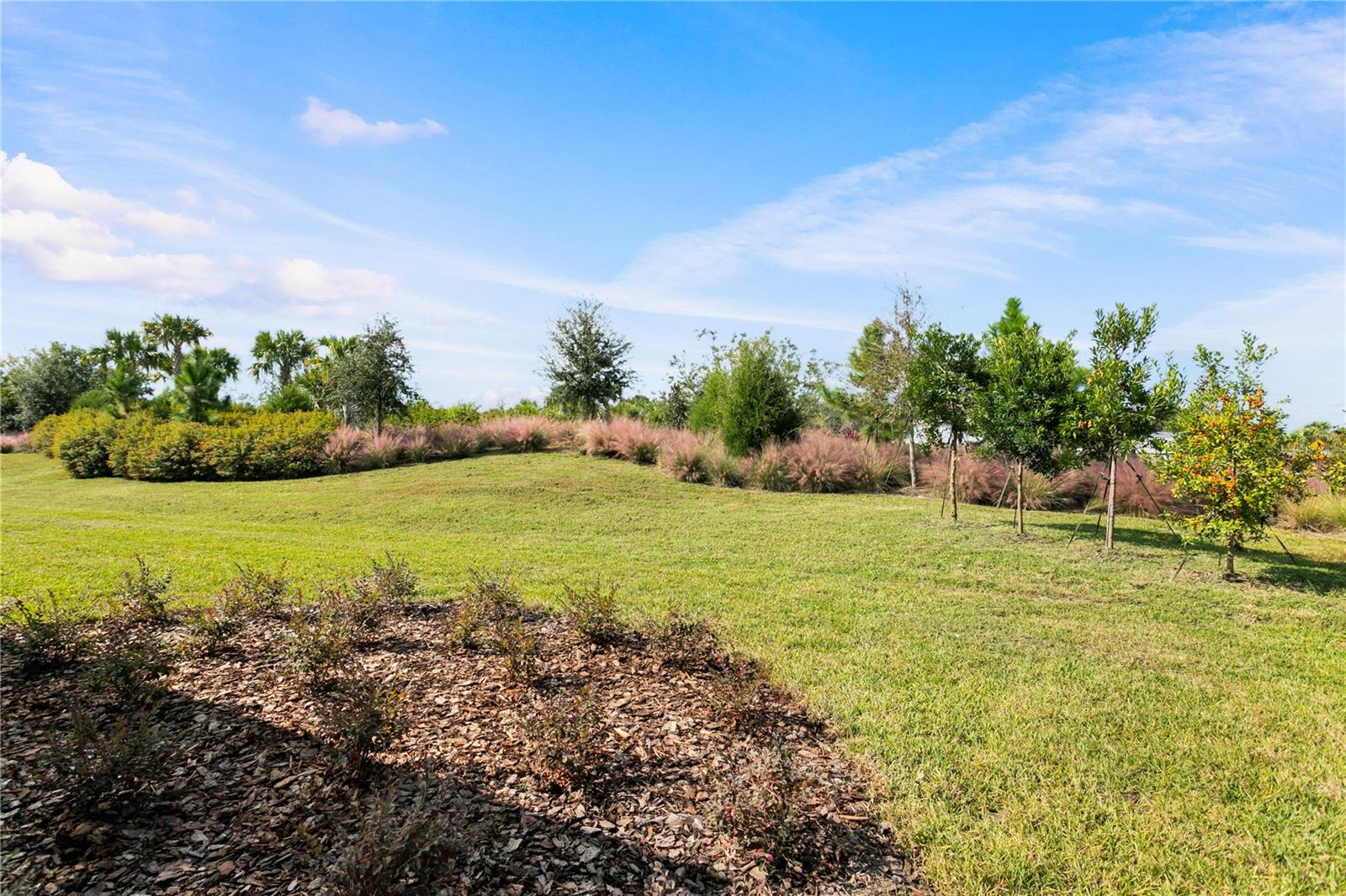 PATTERSON ROAD RESIDENTIAL - Residential