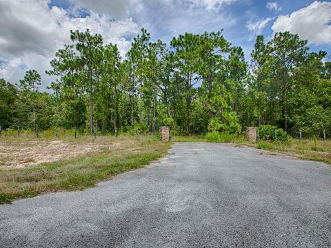TBD WILDWOOD FL 34785