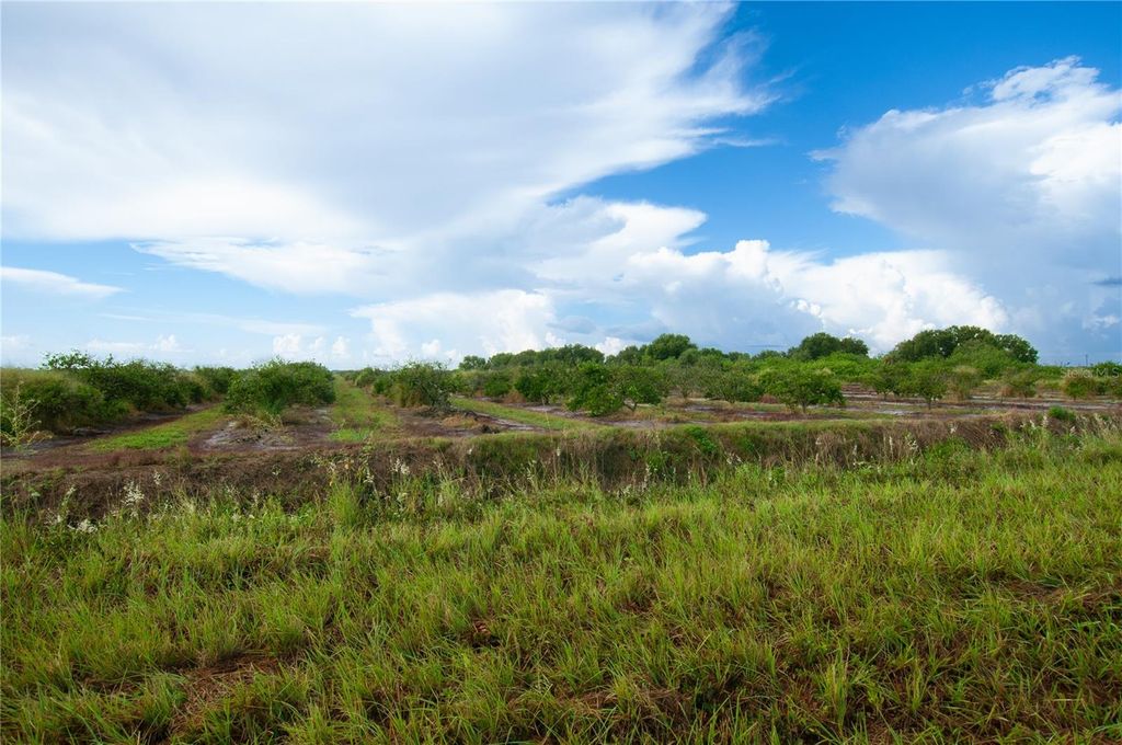 Photo of 45374 Narrow Lane, Punta Gorda, FL 33982 (MLS # A4662771)