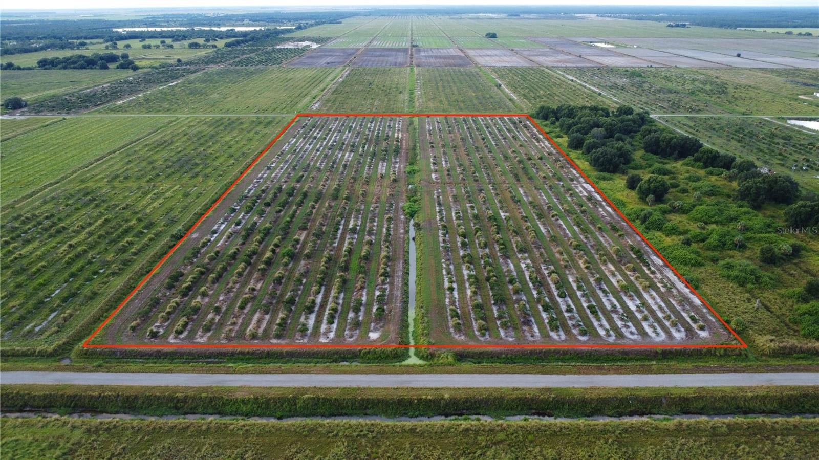Don’t miss this rare opportunity to own 20 acres of producing citrus grove in a prime Charlotte County location. Situated on a paved road with electric nearby, this property offers the perfect blend of rural privacy and convenience. Located in Flood Zone X (no flood insurance required), the land is buildable and ready for your vision—whether you’re looking to expand agricultural use, create a private estate, or build your dream home. Enjoy an easy commute to all that Charlotte County has to offer, including Babcock Ranch, Fort Myers, and Arcadia, while still having the peace and quiet of open land.