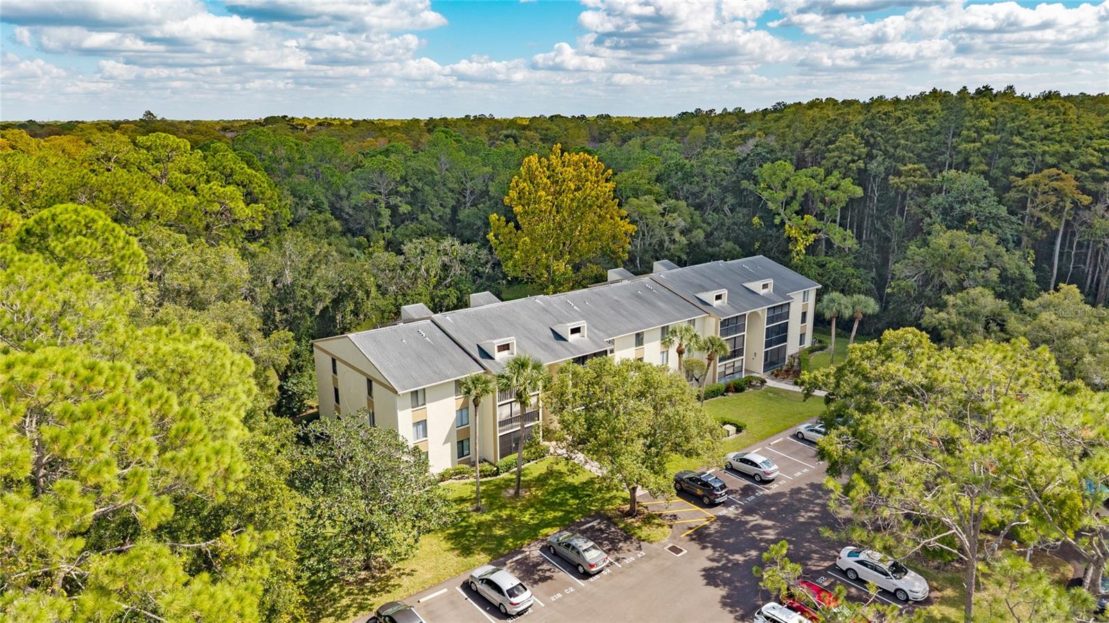 PINE RIDGE AT LAKE TARPON VILLAGE - Residential