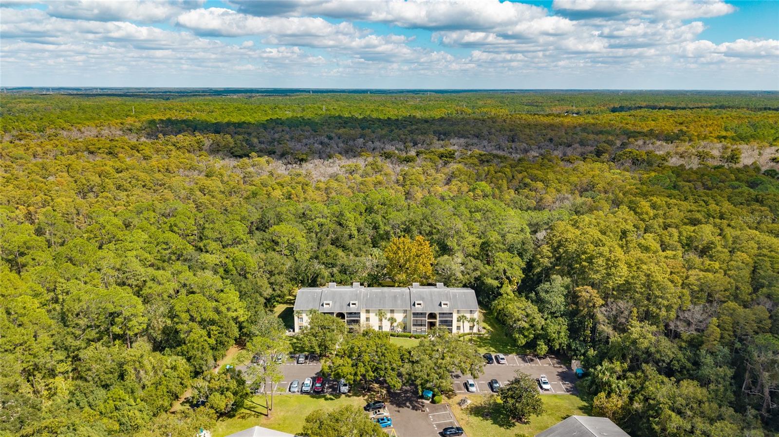 PINE RIDGE AT LAKE TARPON VILLAGE - Residential