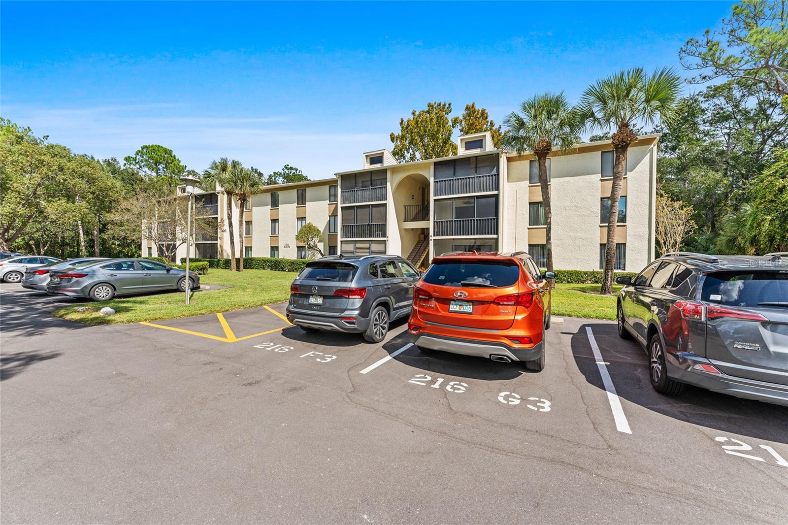 PINE RIDGE AT LAKE TARPON VILLAGE - Residential