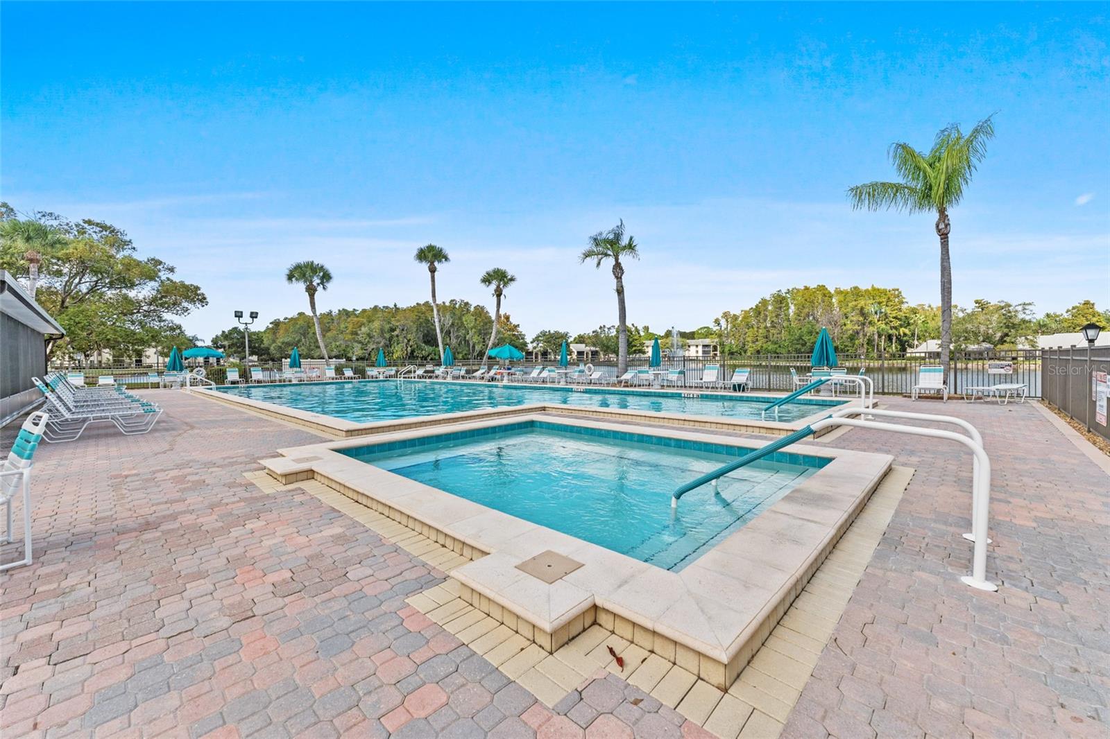 PINE RIDGE AT LAKE TARPON VILLAGE - Residential