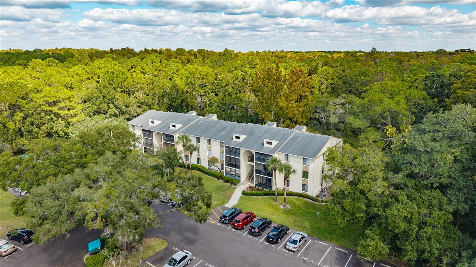 PINE RIDGE AT LAKE TARPON VILLAGE - Residential