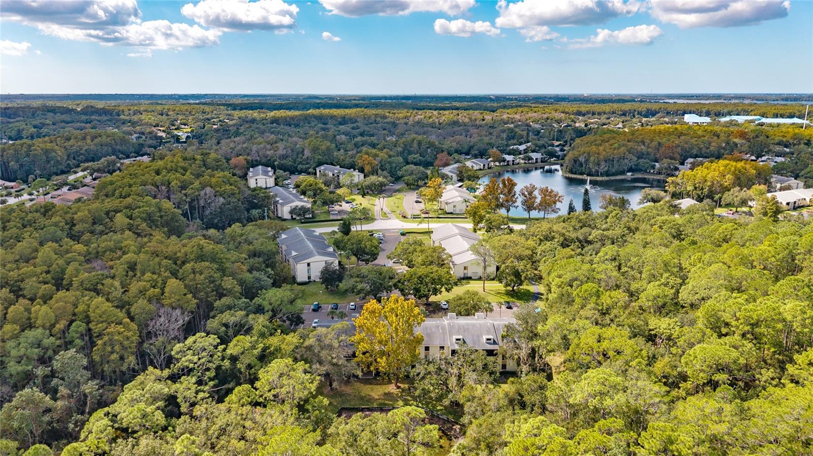 PINE RIDGE AT LAKE TARPON VILLAGE - Residential