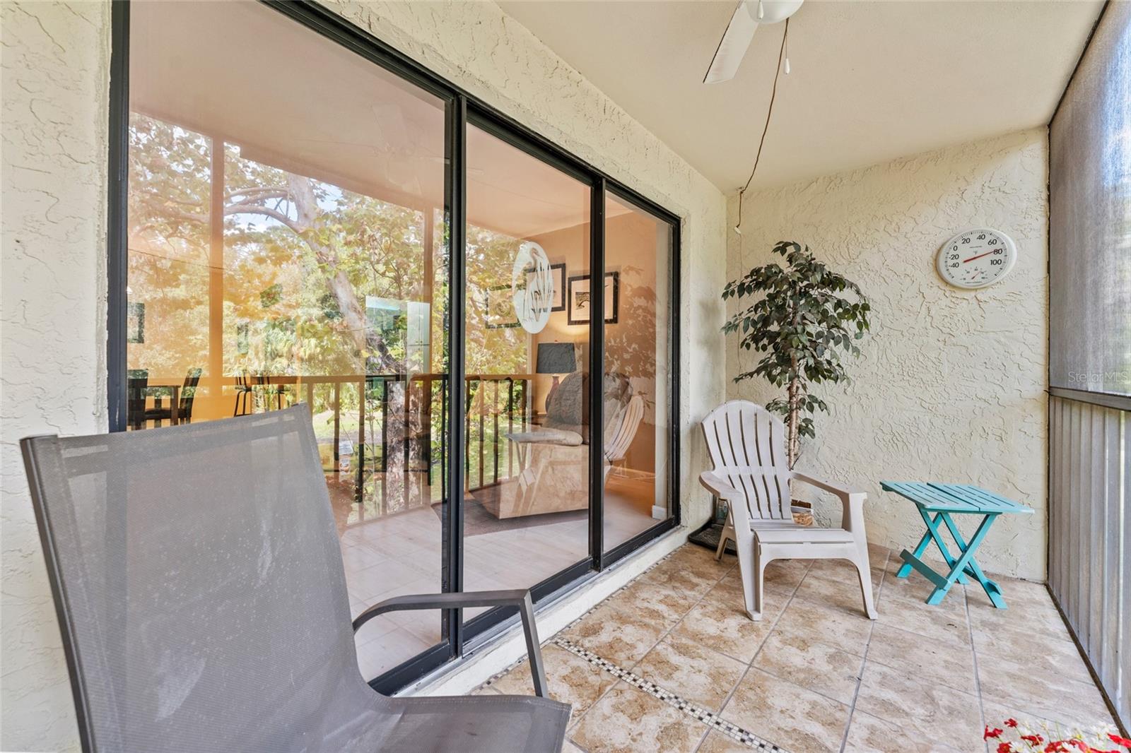 PINE RIDGE AT LAKE TARPON VILLAGE - Residential