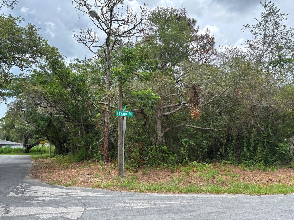 Photo of 290 Navajo Trail, Spring Hill, FL 34606 (MLS # W7877857)
