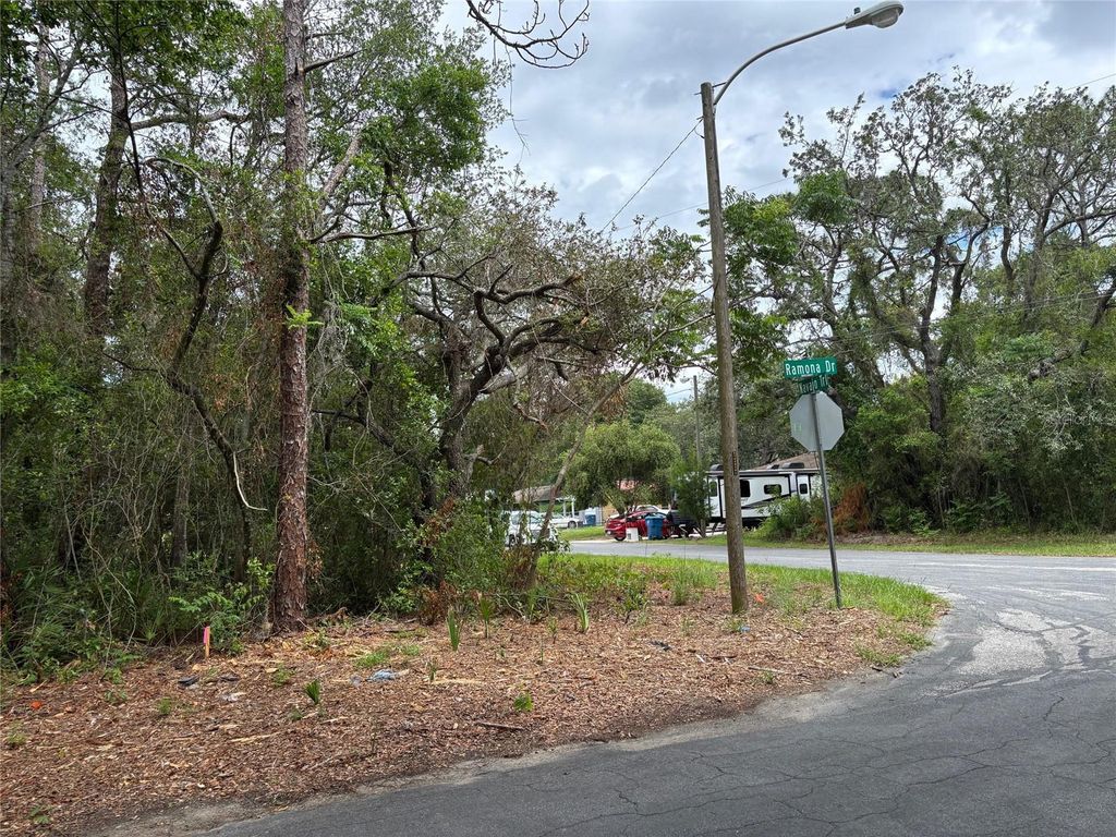 Photo of 290 Navajo Trail, Spring Hill, FL 34606 (MLS # W7877857)