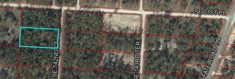 Photo of Xxxx SE 142nd Court, Morriston, FL 32668 (MLS # GC536001)