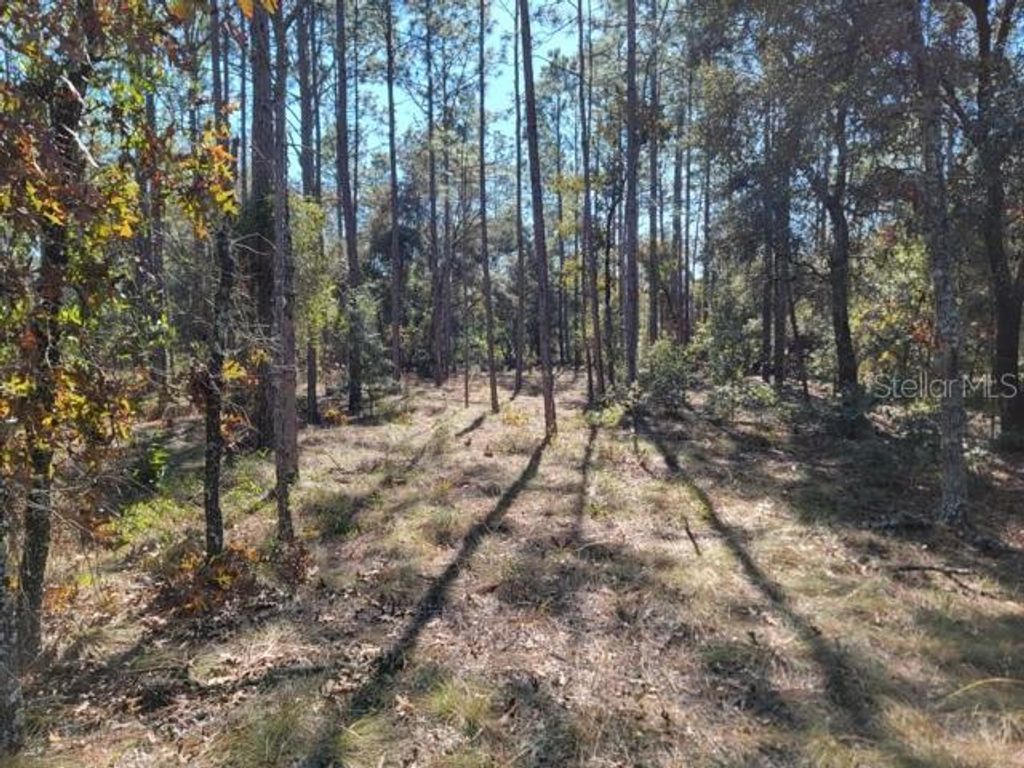 Photo of Xxxx SE 142nd Court, Morriston, FL 32668 (MLS # GC536001)