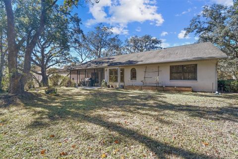 A home in HOMOSASSA