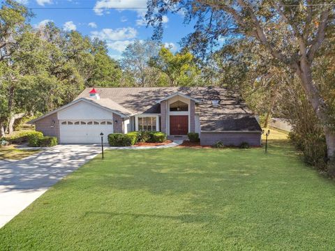 Photo of 201 Pine Street, Homosassa, FL 34446 (MLS # TB8330315) Photo of 201 Pine Street, Homosassa, FL 34446 (MLS # TB8330315)