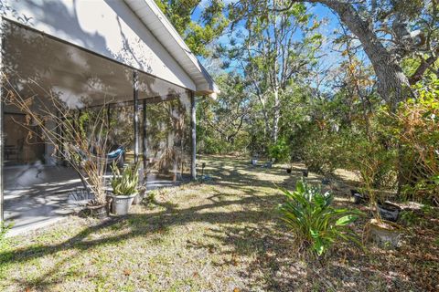 A home in HOMOSASSA