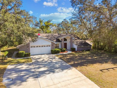 A home in HOMOSASSA