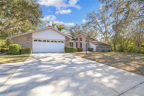 A home in HOMOSASSA