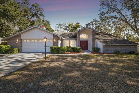 A home in HOMOSASSA