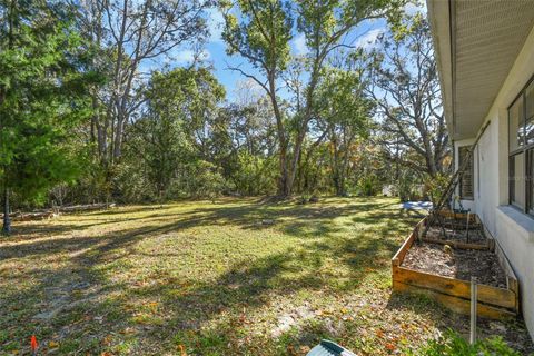 A home in HOMOSASSA