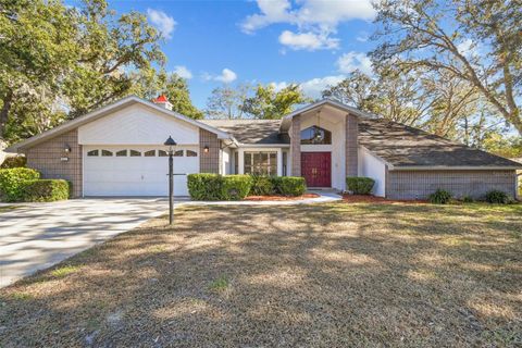 A home in HOMOSASSA